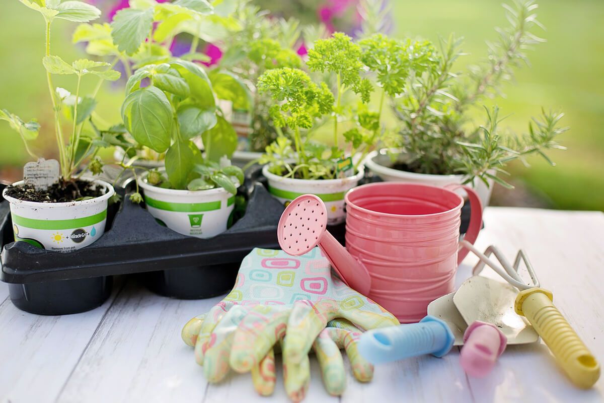 springtime gardening-motorized screens